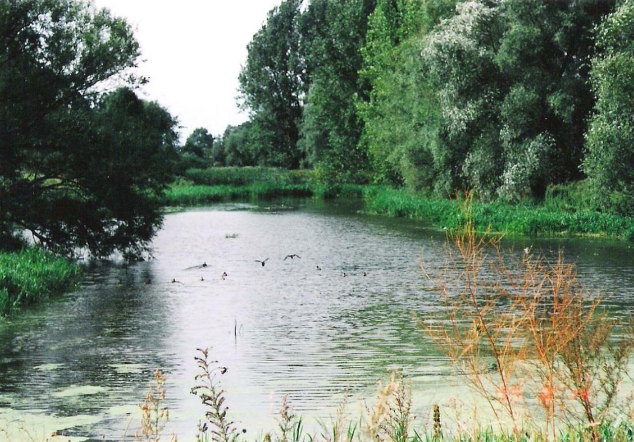 Star Camp Cosa, Ferienwohnungen, Camping, Schlaffaesser Friedland  Esterno foto